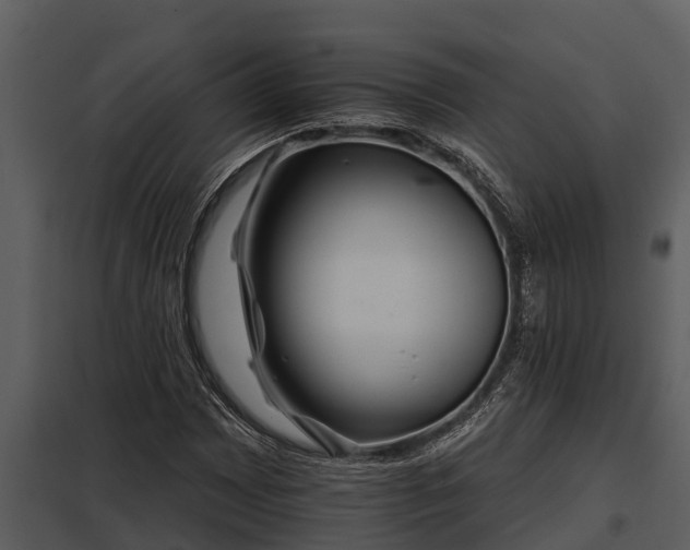 X0000097951065200804011629