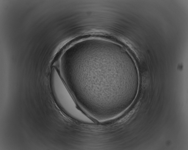 X0000097951066200804011629