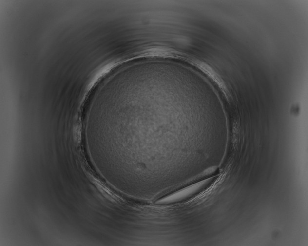 X0000097951067200804011629