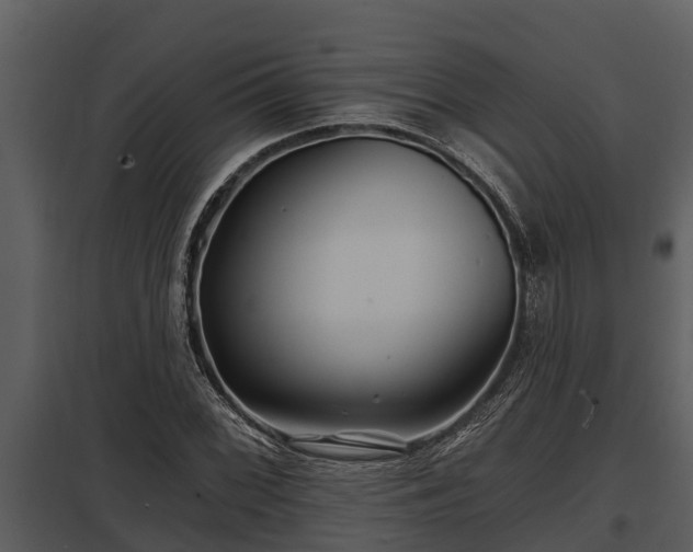 X0000097951068200804011629