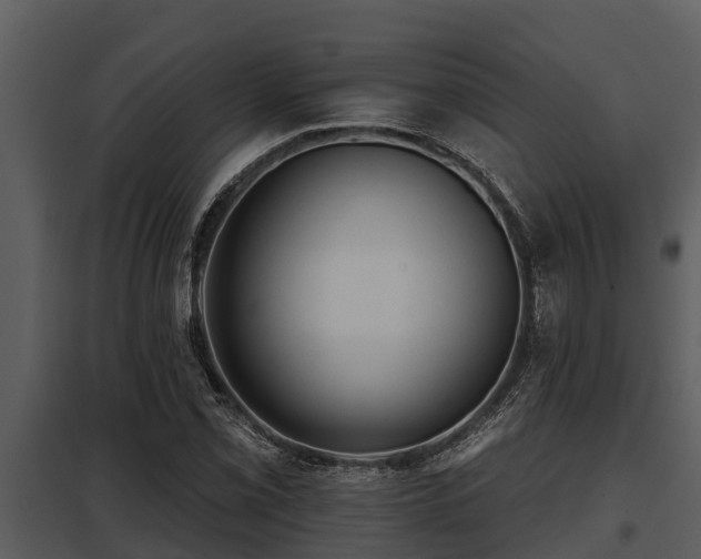 X0000097951069200804011629