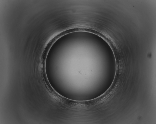 X0000097951070200804011629
