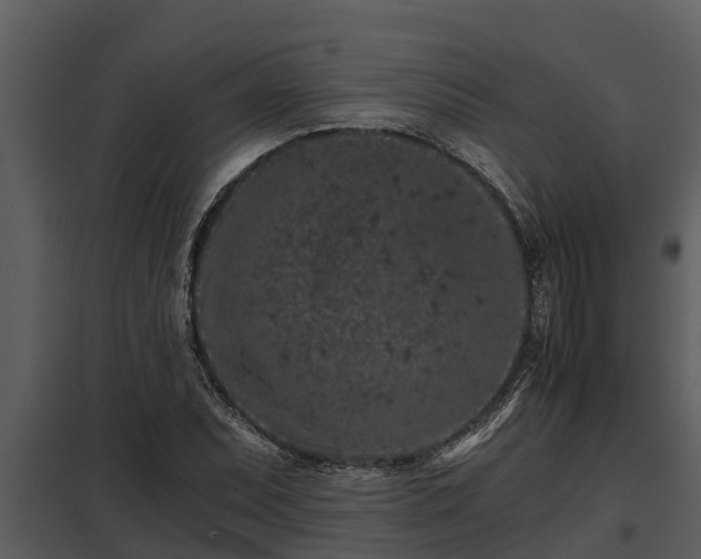X0000097951071200804011629