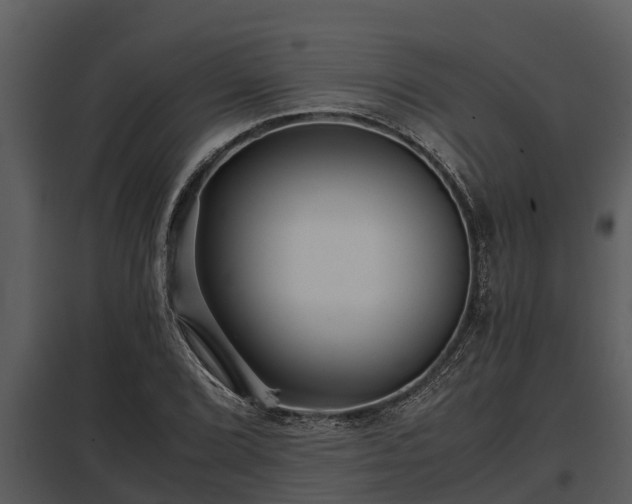 X0000097951072200804011629