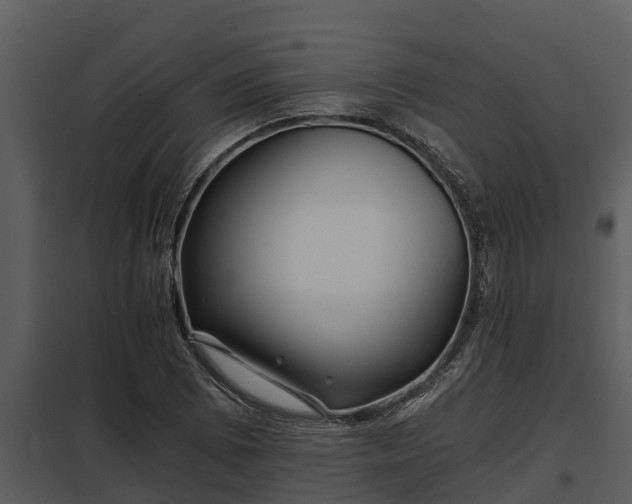 X0000097951073200804011629
