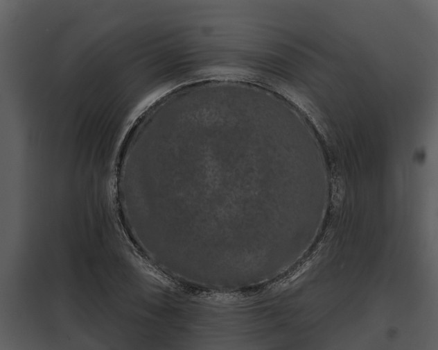 X0000097951074200804011629