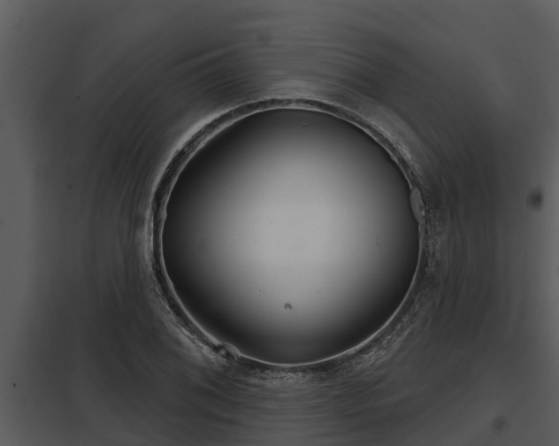X0000097951076200804011629