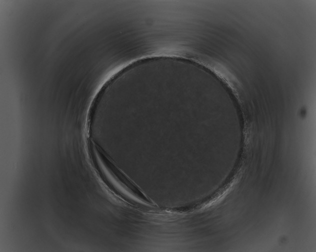 X0000097951077200804011629