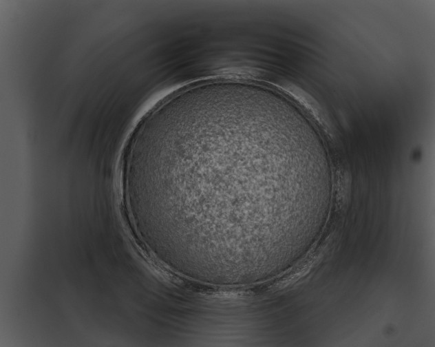 X0000097951078200804011629