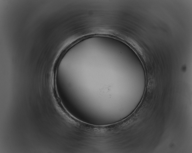 X0000097951080200804011629