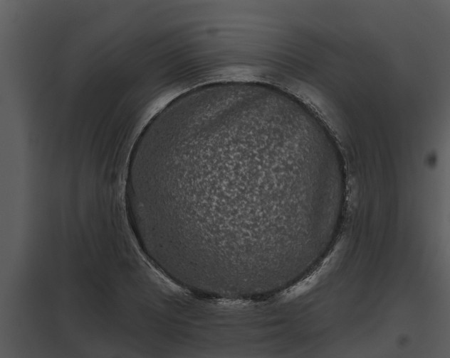 X0000097951081200804011629