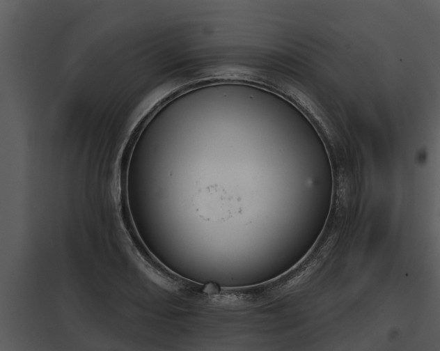 X0000097951082200804011629