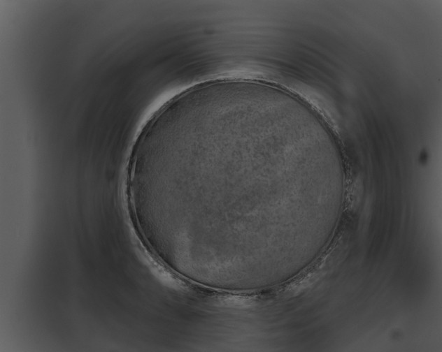 X0000097951086200804011629
