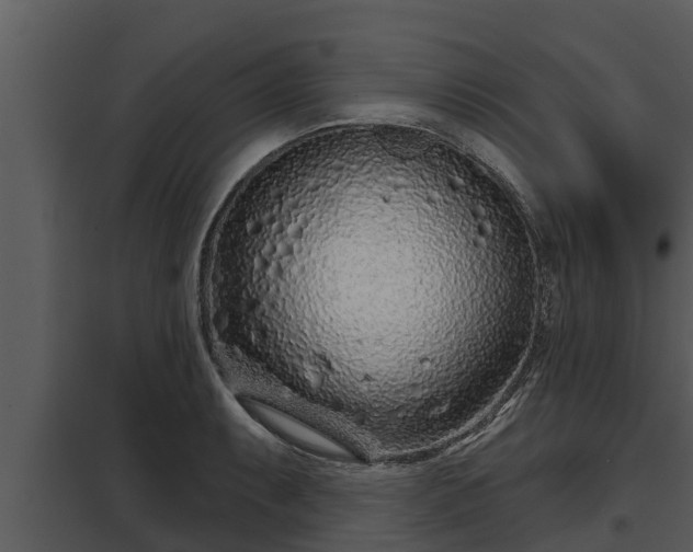 X0000097951087200804011629