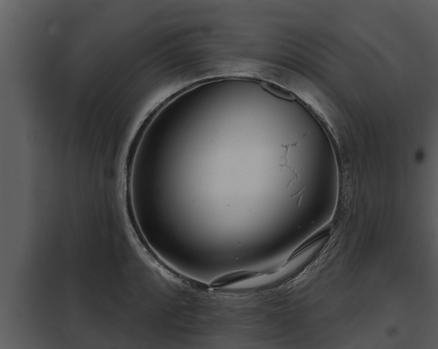 X0000097951088200804011629