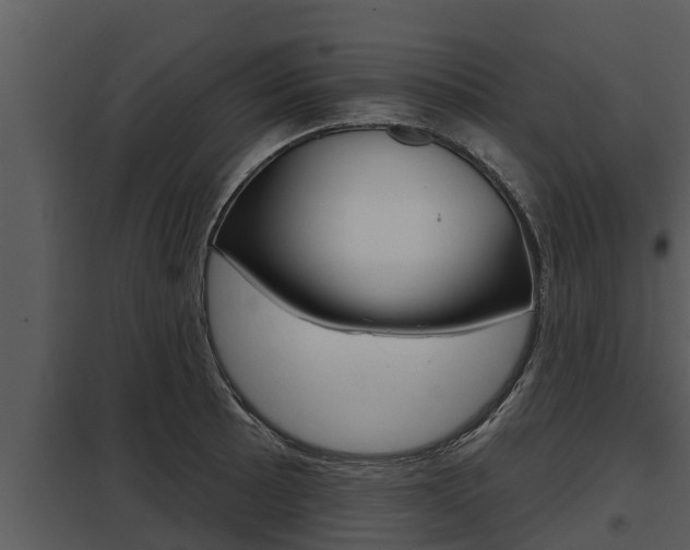 X0000097951089200804011629