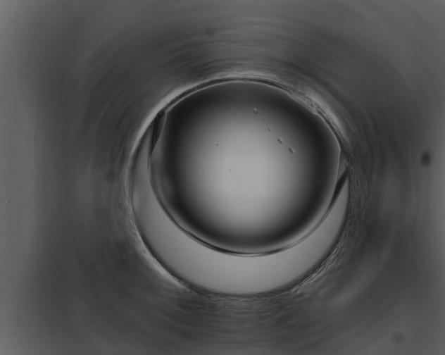 X0000097951092200804011629