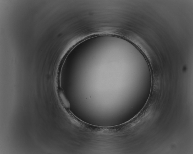 X0000097951093200804011629