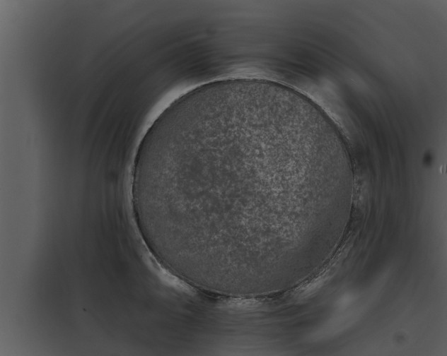 X0000097951094200804011629