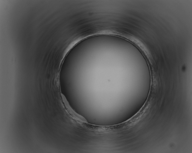 X0000097951097200804011629