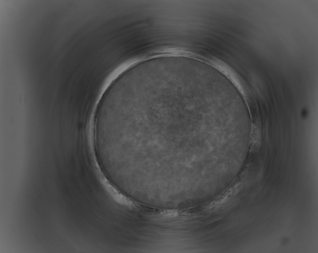 X0000097951098200804011629