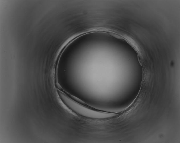 X0000097951100200804011629