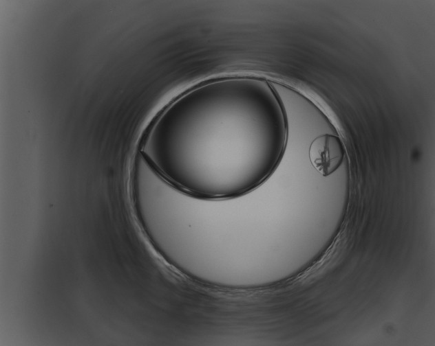 X0000097951101200804011629