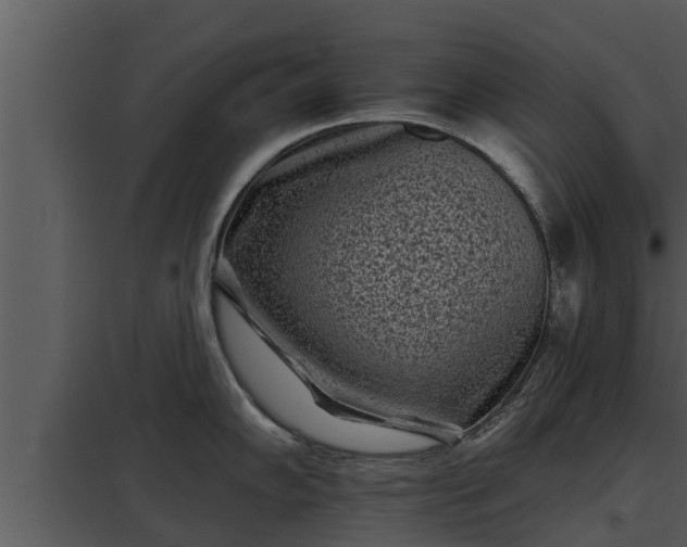 X0000097951102200804011629