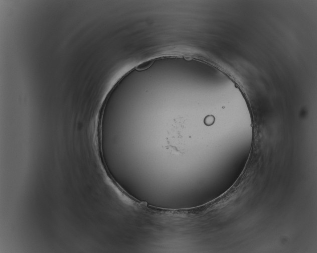 X0000097951103200804011629