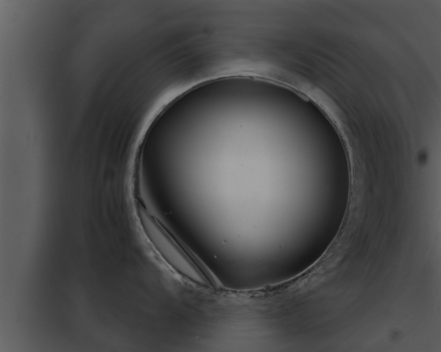 X0000097951104200804011629