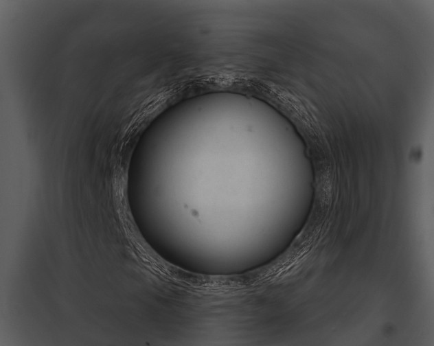 X0000097951105200804011628