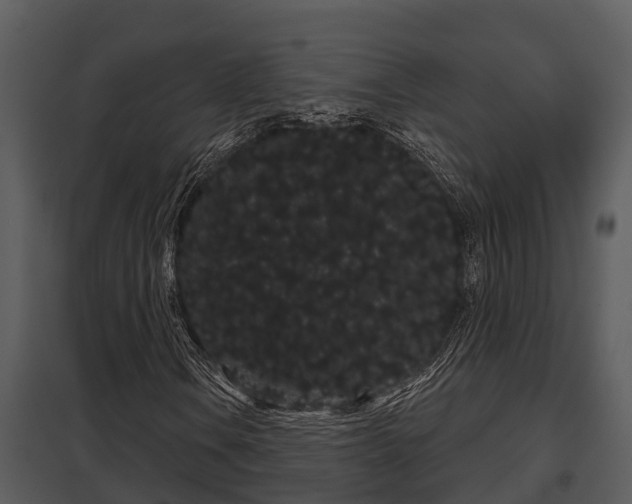 X0000097951106200804011628