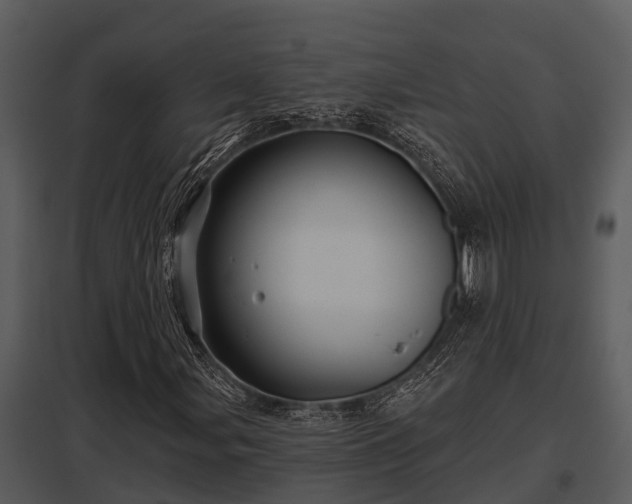 X0000097951107200804011628
