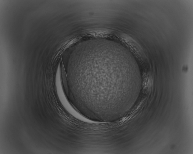 X0000097951108200804011628