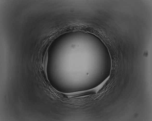 X0000097951109200804011628