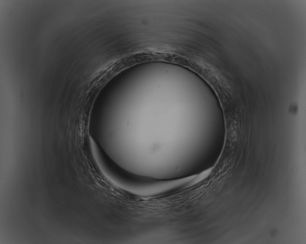 X0000097951110200804011628
