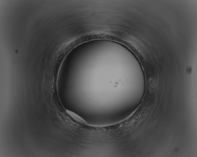 X0000097951111200804011628