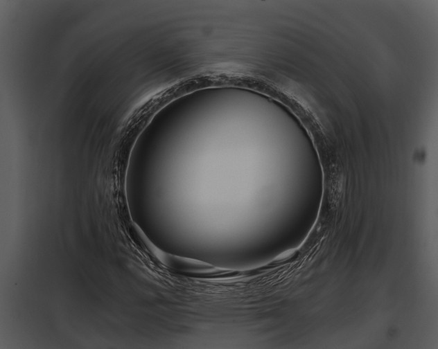 X0000097951112200804011628