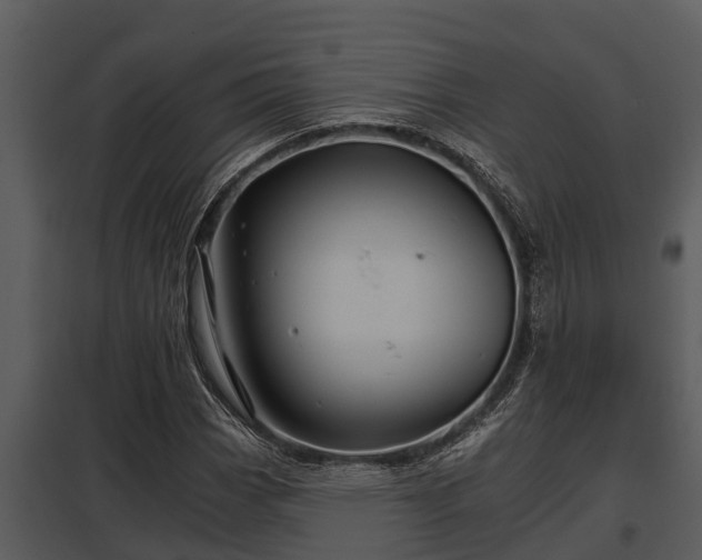X0000097951113200804011628