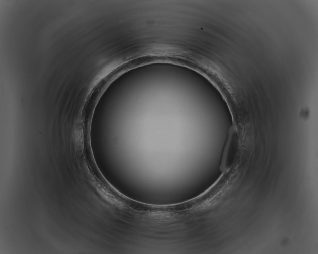 X0000097951114200804011628