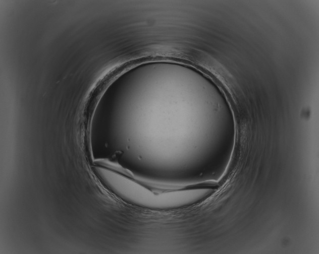 X0000097951115200804011628