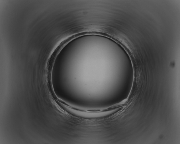 X0000097951116200804011628