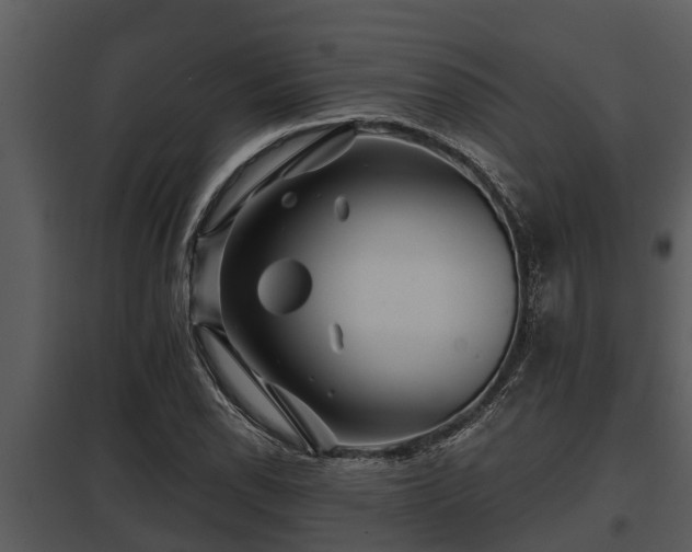 X0000097951118200804011628