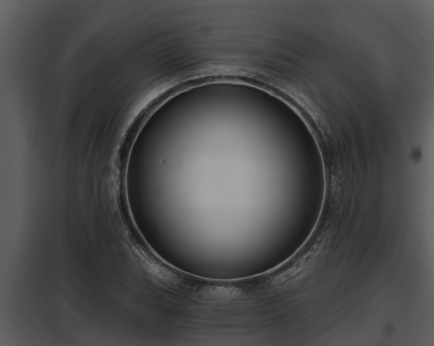 X0000097951119200804011628