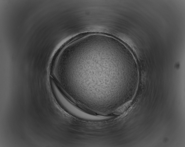 X0000097951120200804011628