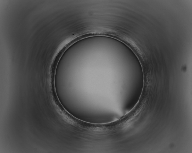X0000097951122200804011628