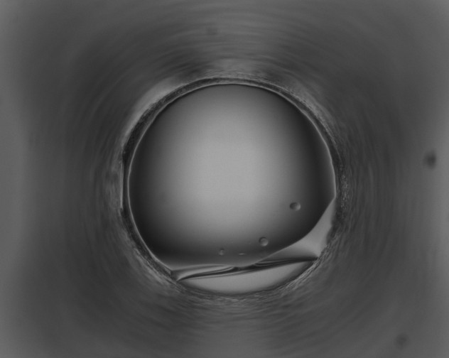 X0000097951123200804011628