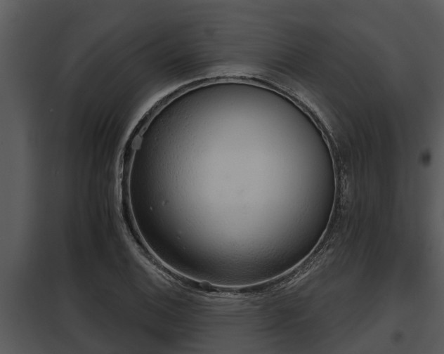 X0000097951124200804011628