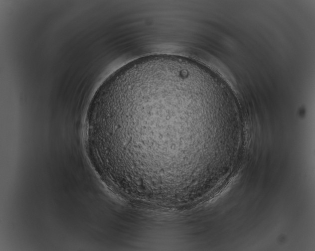X0000097951125200804011628