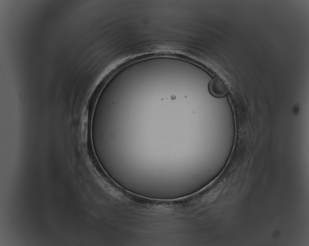 X0000097951126200804011628